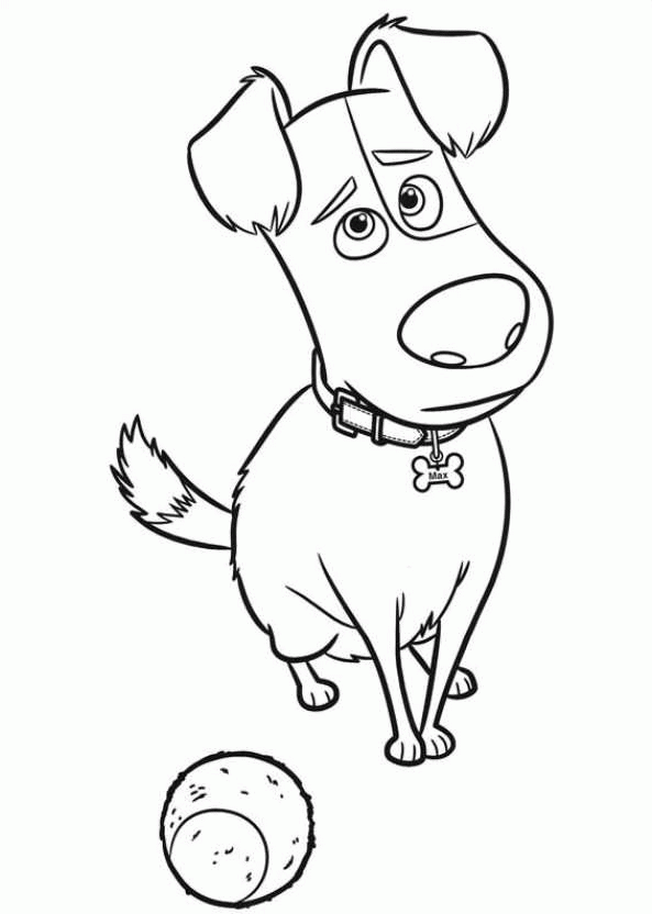 The Secret Life Of Pets Coloring Pages - Coloring Home