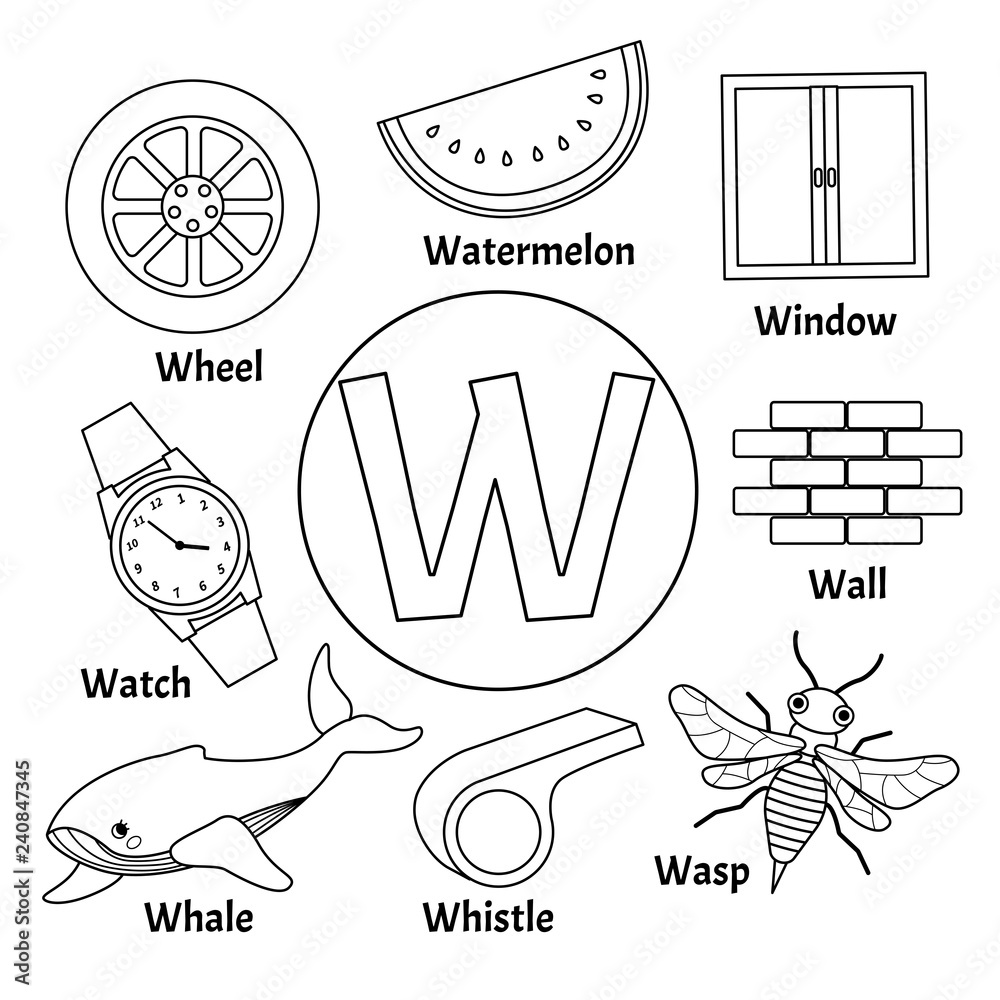 Vector cute kids animal alphabet. Letter W. Set of cute cartoon  illustrations. Coloring page. Stock Vector | Adobe Stock