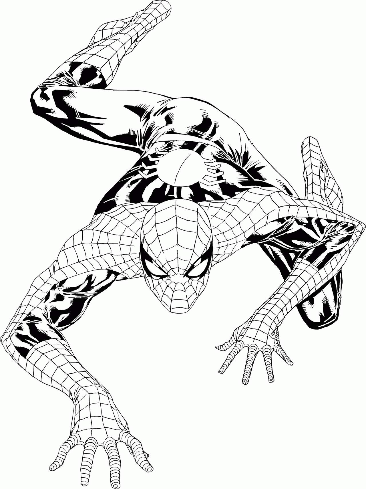 The Amazing Spider Man coloring page