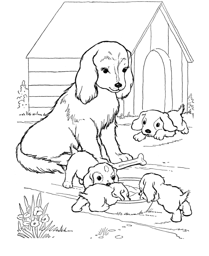 Puppy Coloring Page - Coloring Pages for Kids and for Adults
