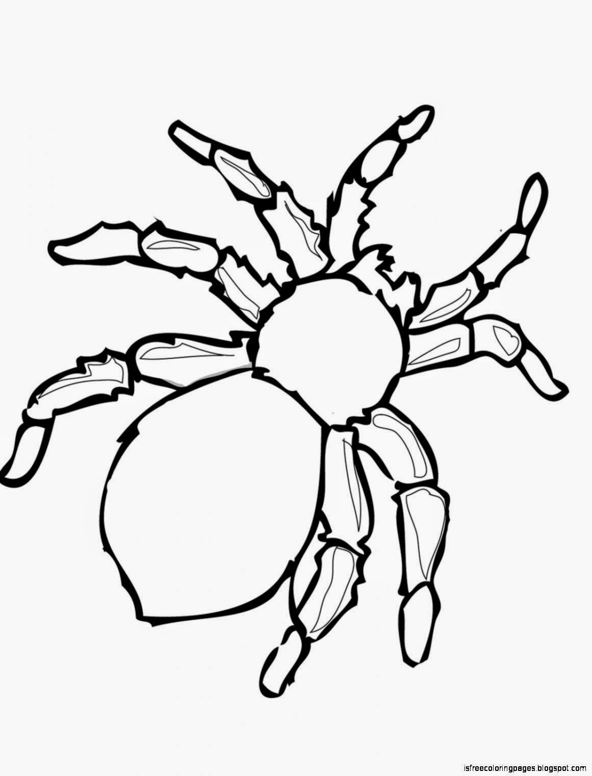 Spiders Coloring Pages | Free Coloring Pages