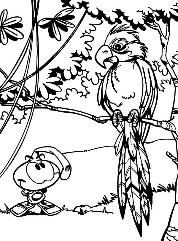 Allstar Watching Bird in the Jungle in Snorkels Coloring Pages ...
