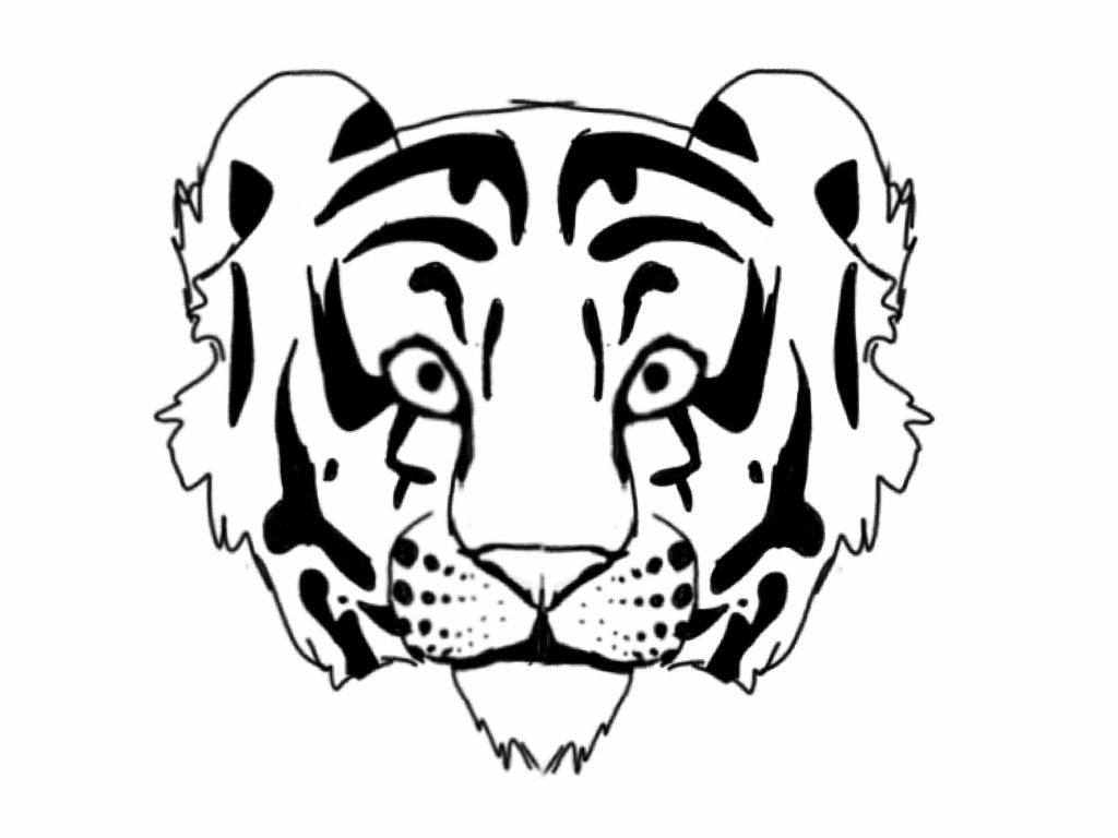 Tiger Outline by Raynefeather25 on DeviantArt