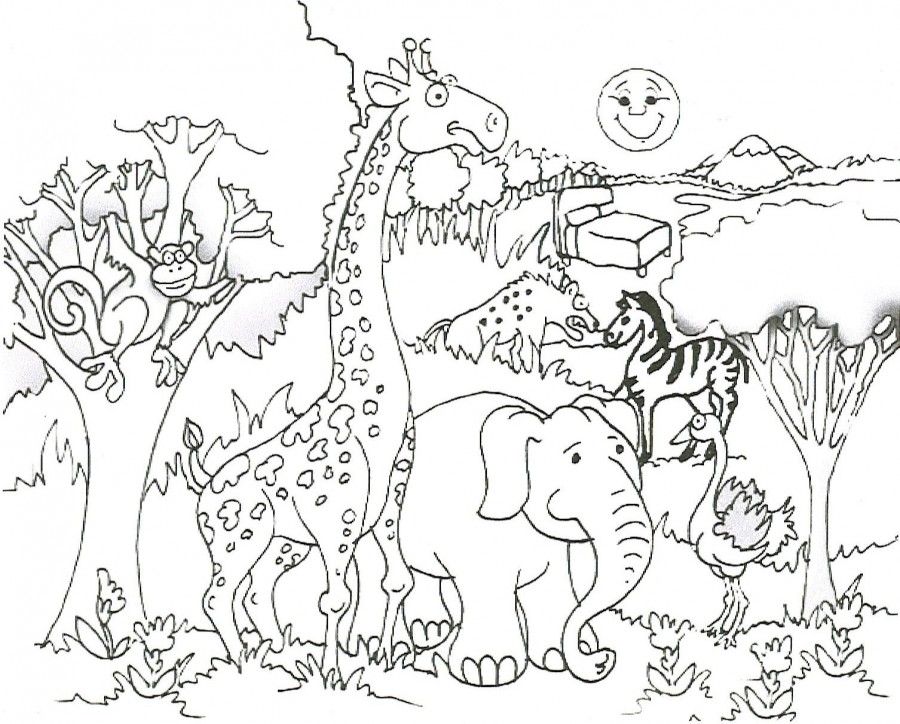 35 Zoo Coloring Pages - ColoringStar