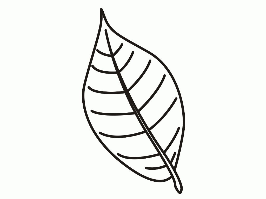 Leaves Coloring Pages To Print - Coloring Home