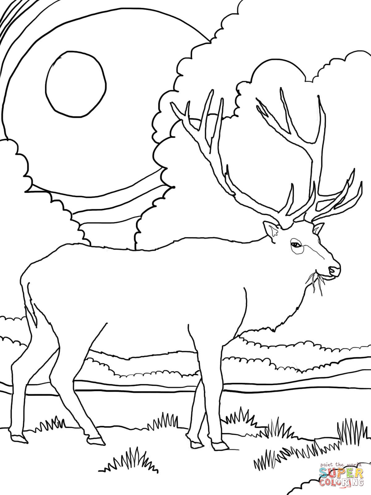 Rocky Mountain Elk coloring page | Free Printable Coloring Pages