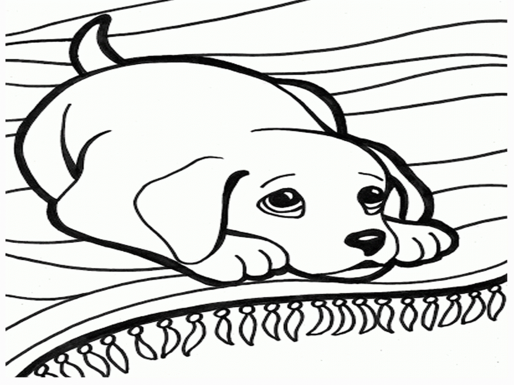 Webkinz Coloring Pages 17 Pictures Colorine 16079 Webkinz Coloring ...