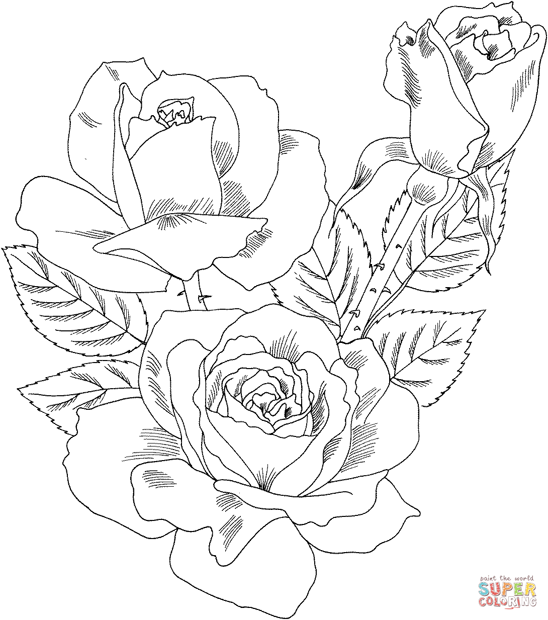 Intricate Rose Coloring Page Coloring Home