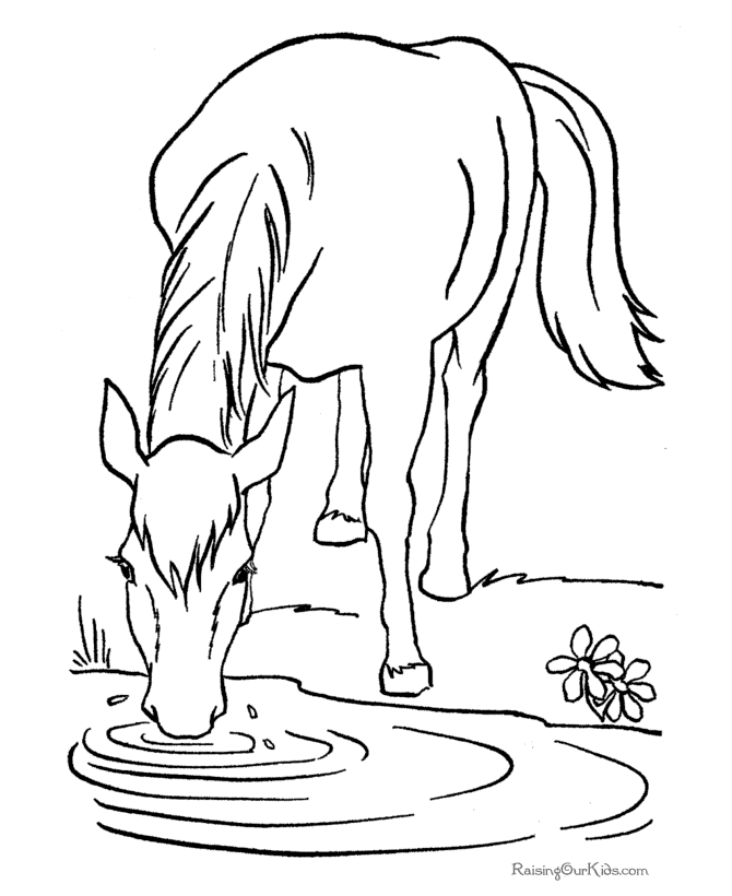 Horse Coloring Pages Free To Print - High Quality Coloring Pages