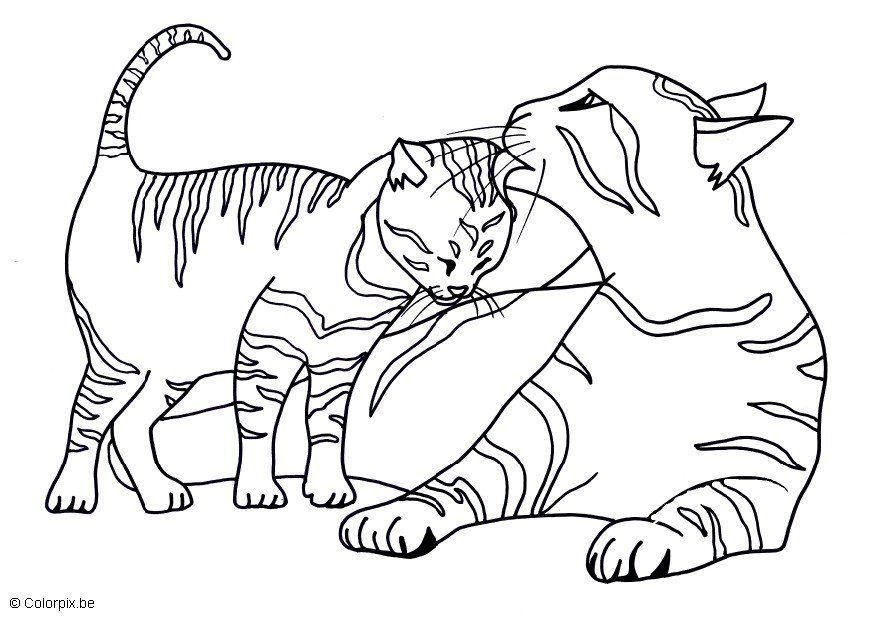 Coloring Pages Of Kittens (18 Pictures) - Colorine.net | 18118