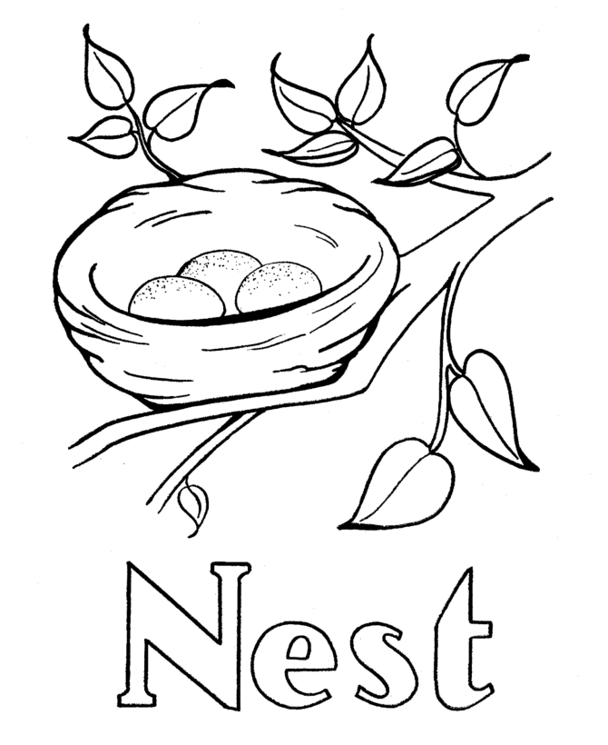 Nest Coloring Page Coloring Home