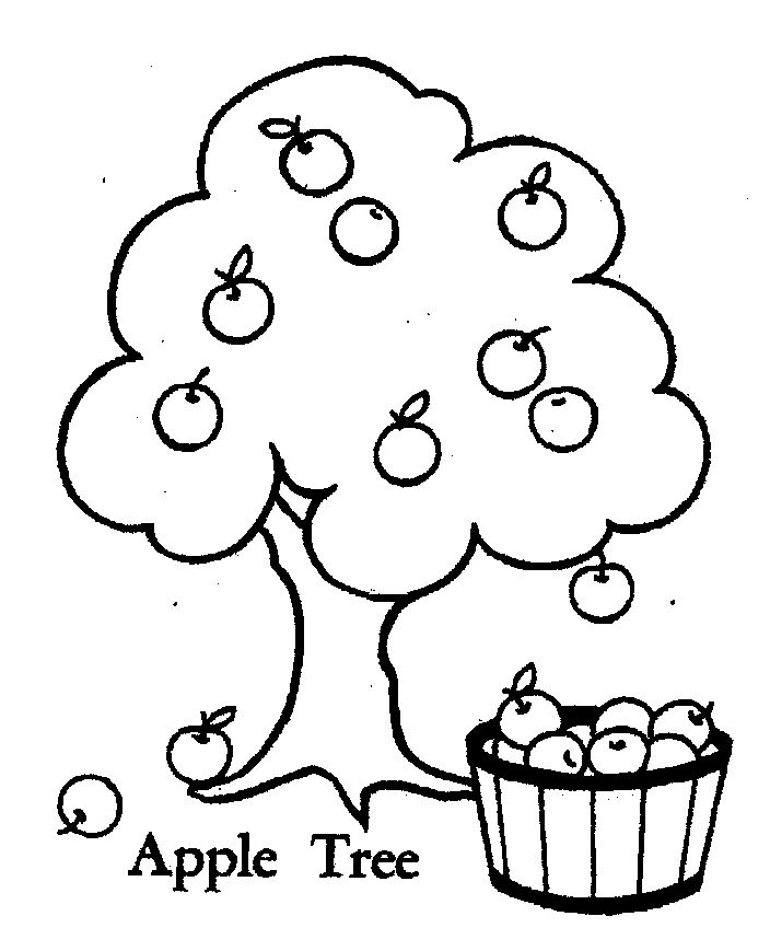 Apple Tree Pictures To Color - Coloring Home