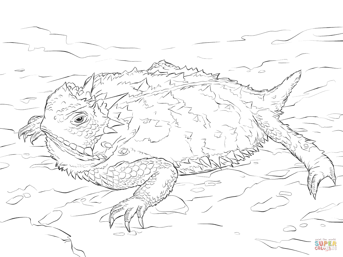 Horned Lizard Coloring Page