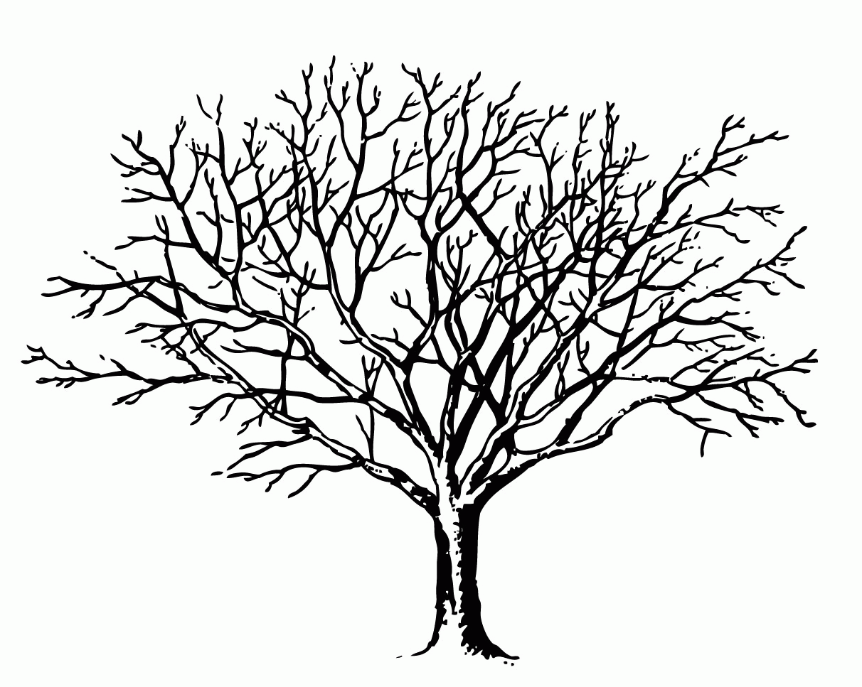 bare tree clipart - Free Large Images