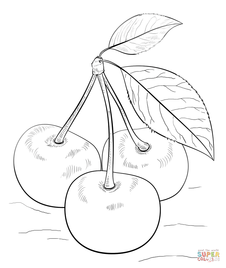 Cherries with leaves coloring page | Free Printable Coloring ...