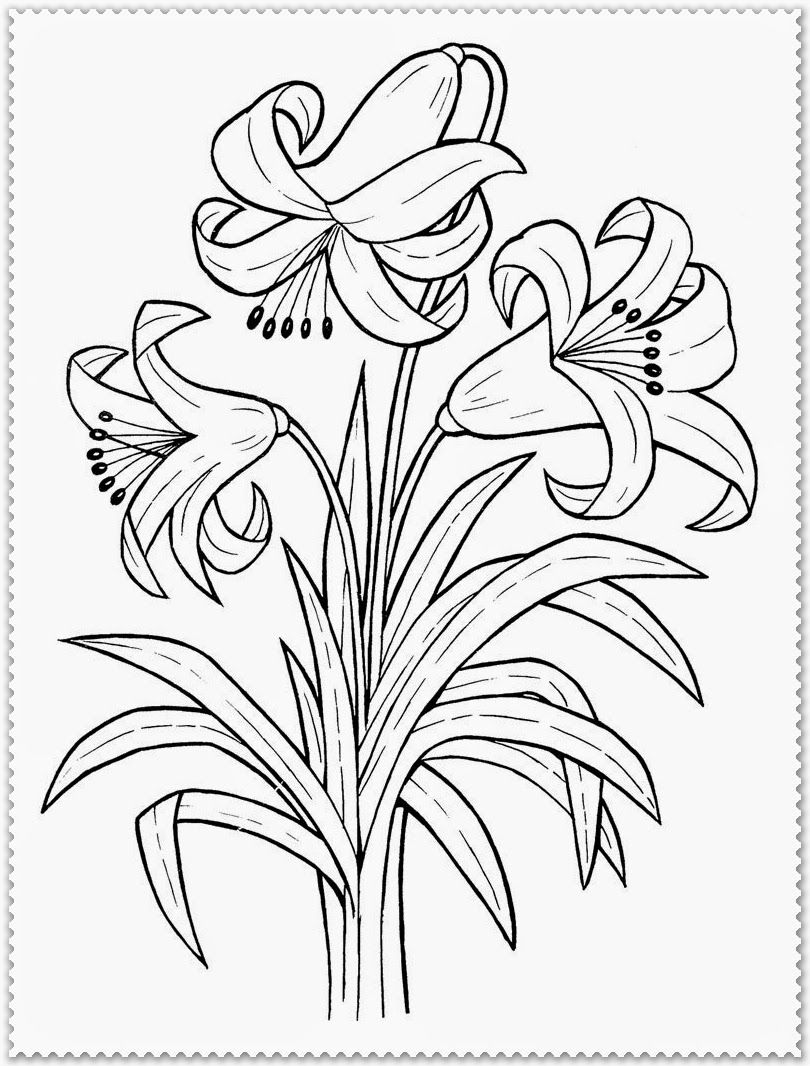 Printable Spring Flower Coloring Pages Coloring Home
