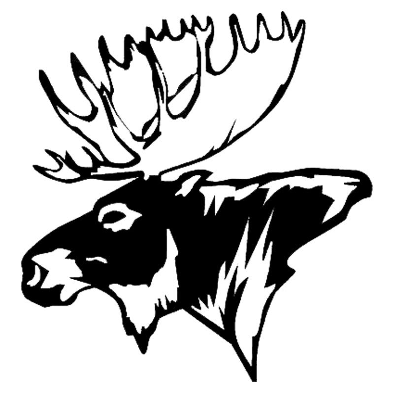 Moose Head Drawing - Coloring Home