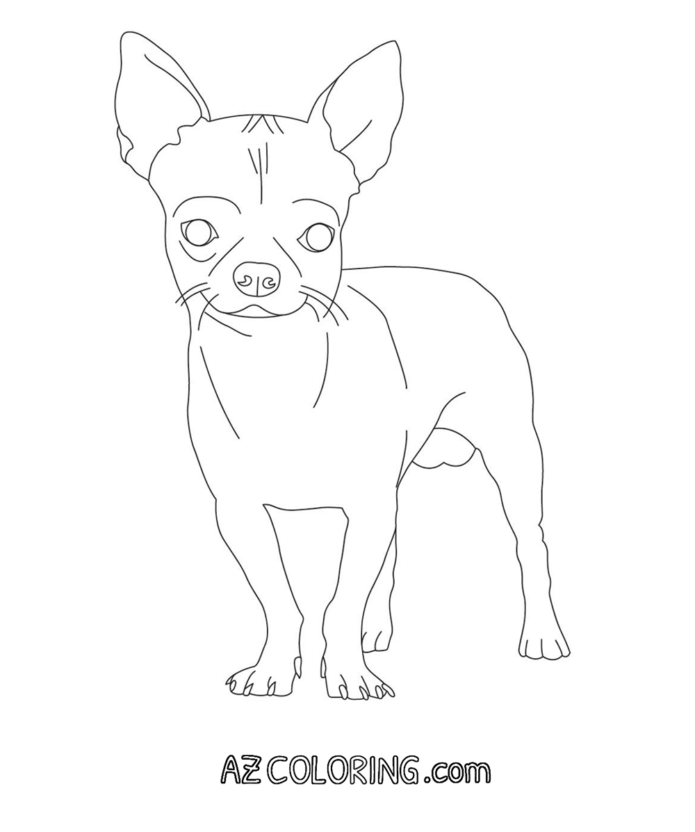 New Chihuahua Coloring Pages with simple drawing