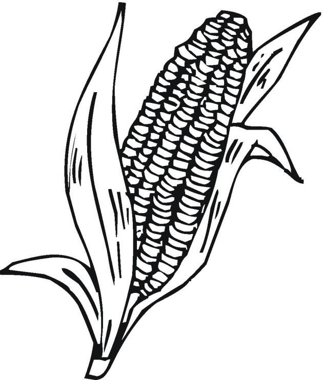 Indian Corn Coloring Page - Coloring Home
