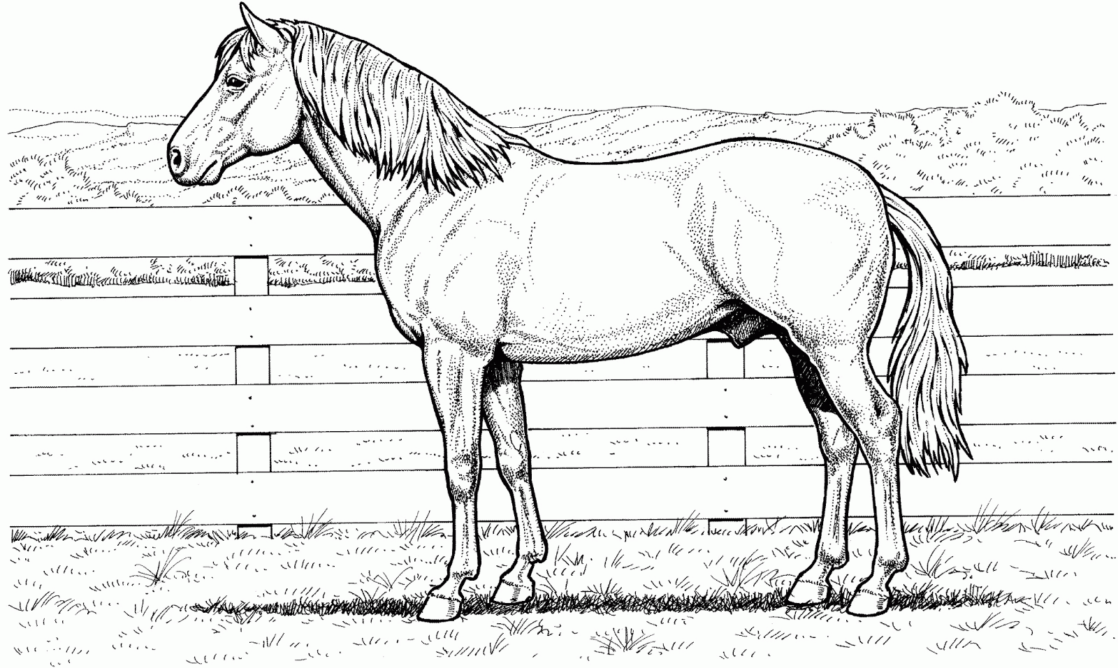 realistic unicorn coloring pages  coloring home