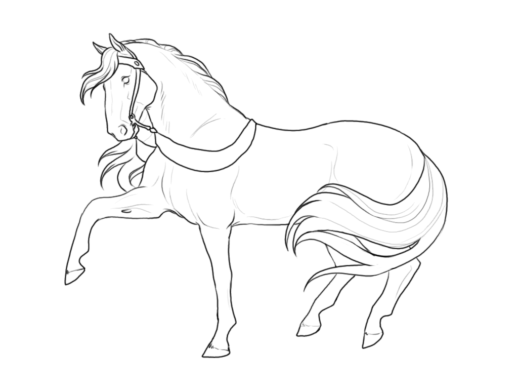 breyer coloring pages - High Quality Coloring Pages