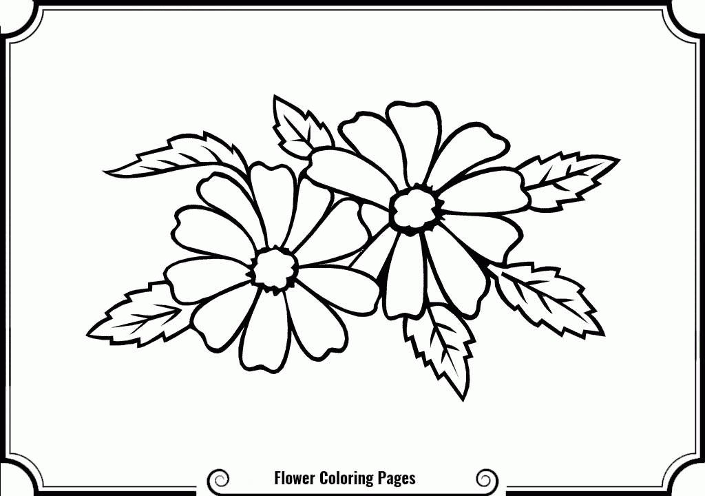 Jasmine Flower Coloring Pages Coloring Home