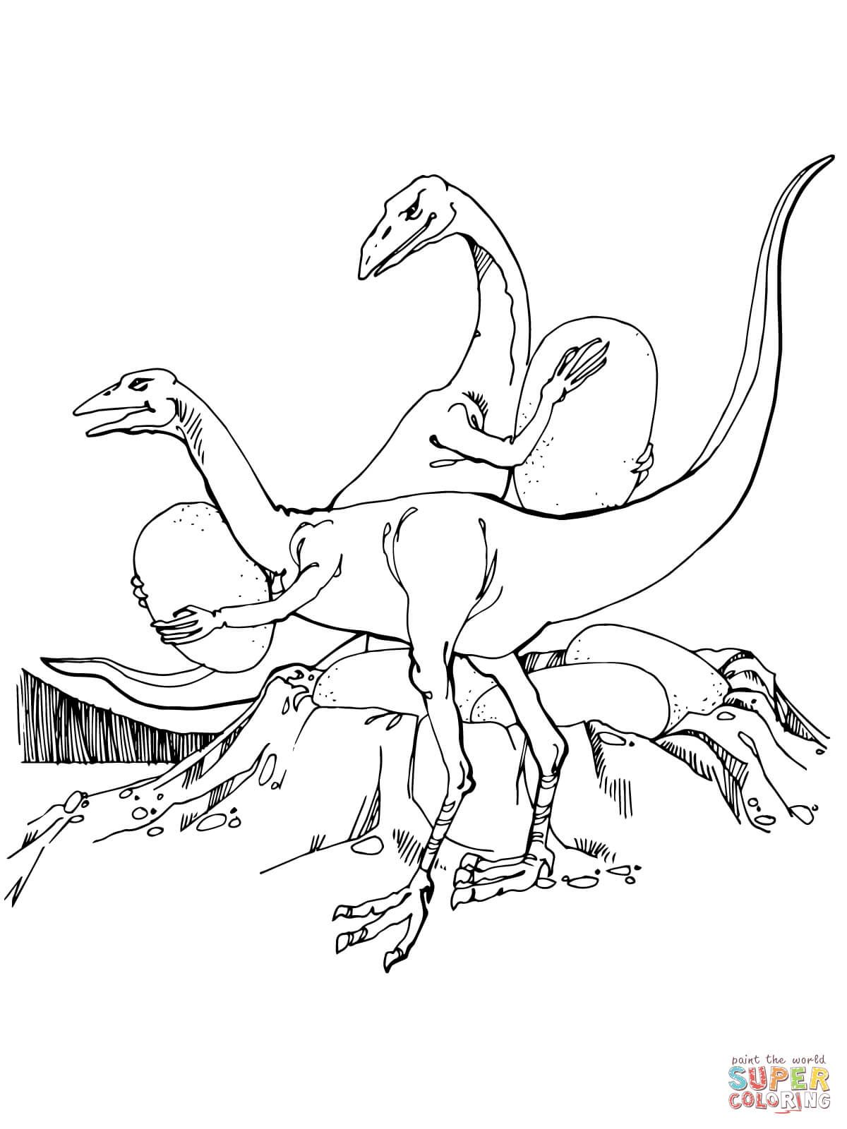 troodon coloring page  coloring home