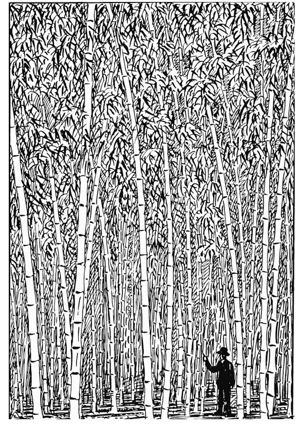 Coloring page Bamboo - img 13196.