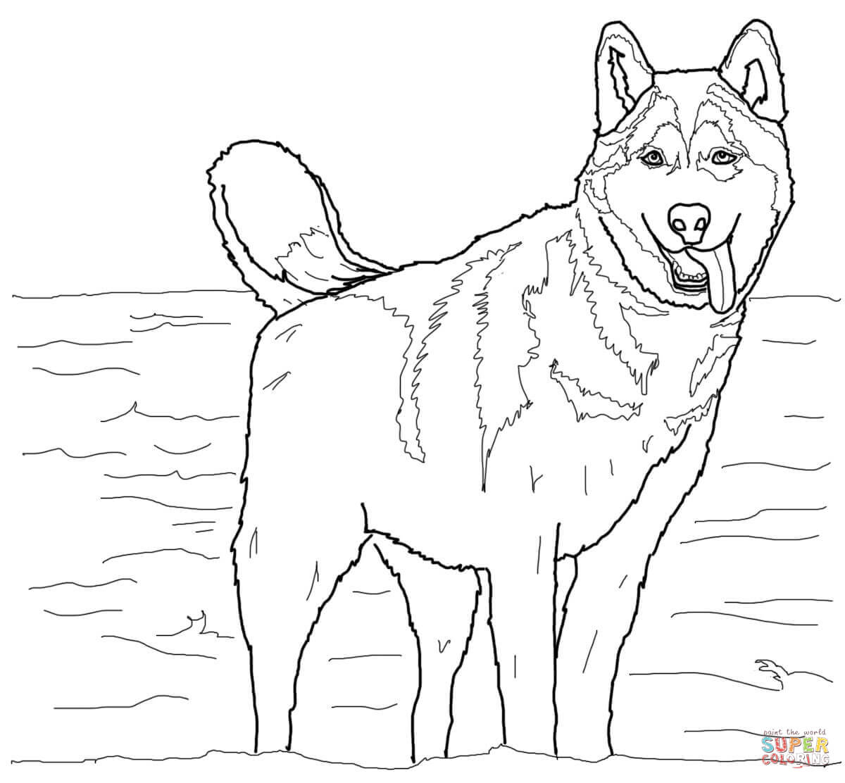 Siberian Husky Coloring Pages - Coloring Home