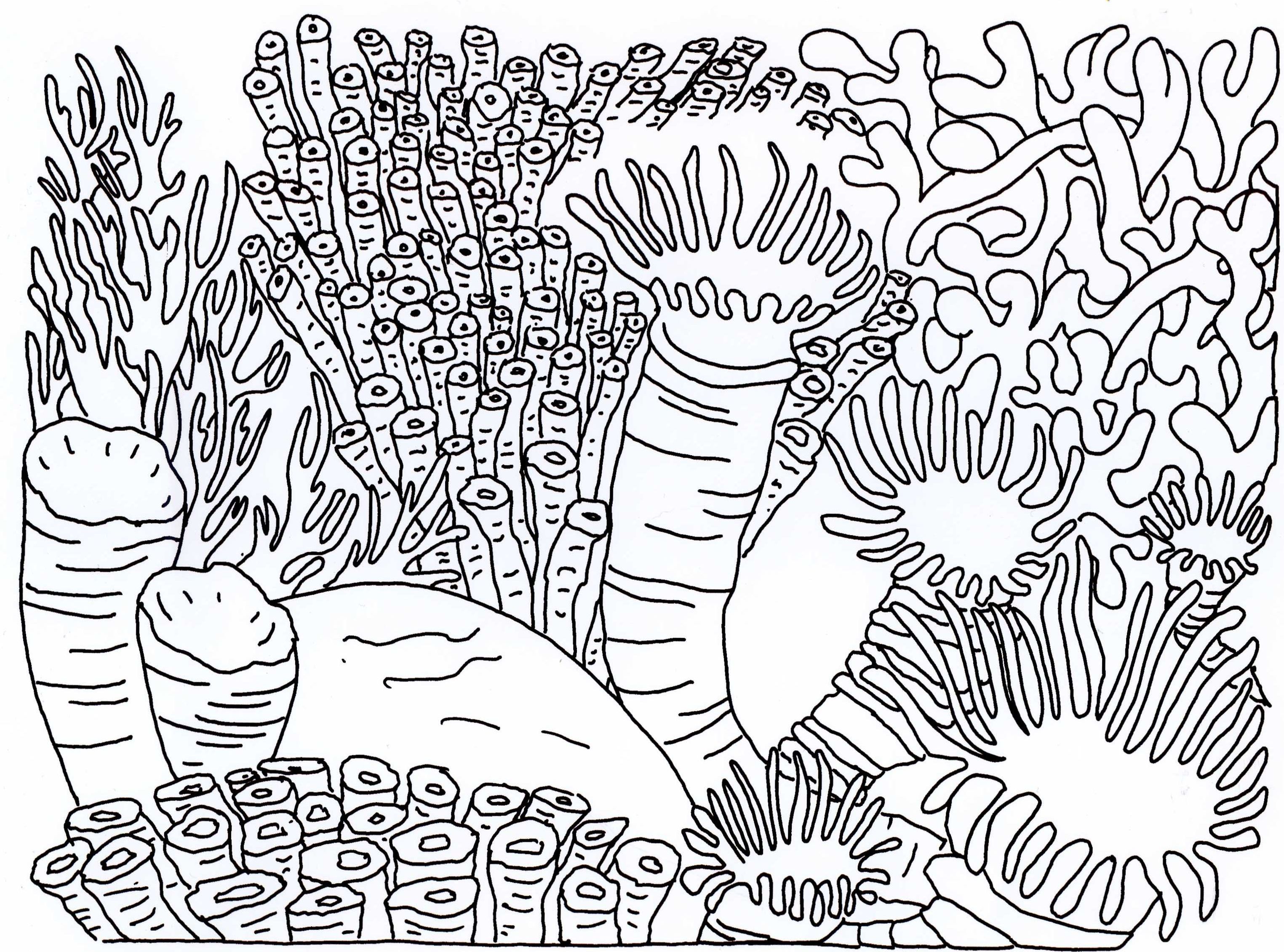 Coral Reef Coloring Pages Coloring Home
