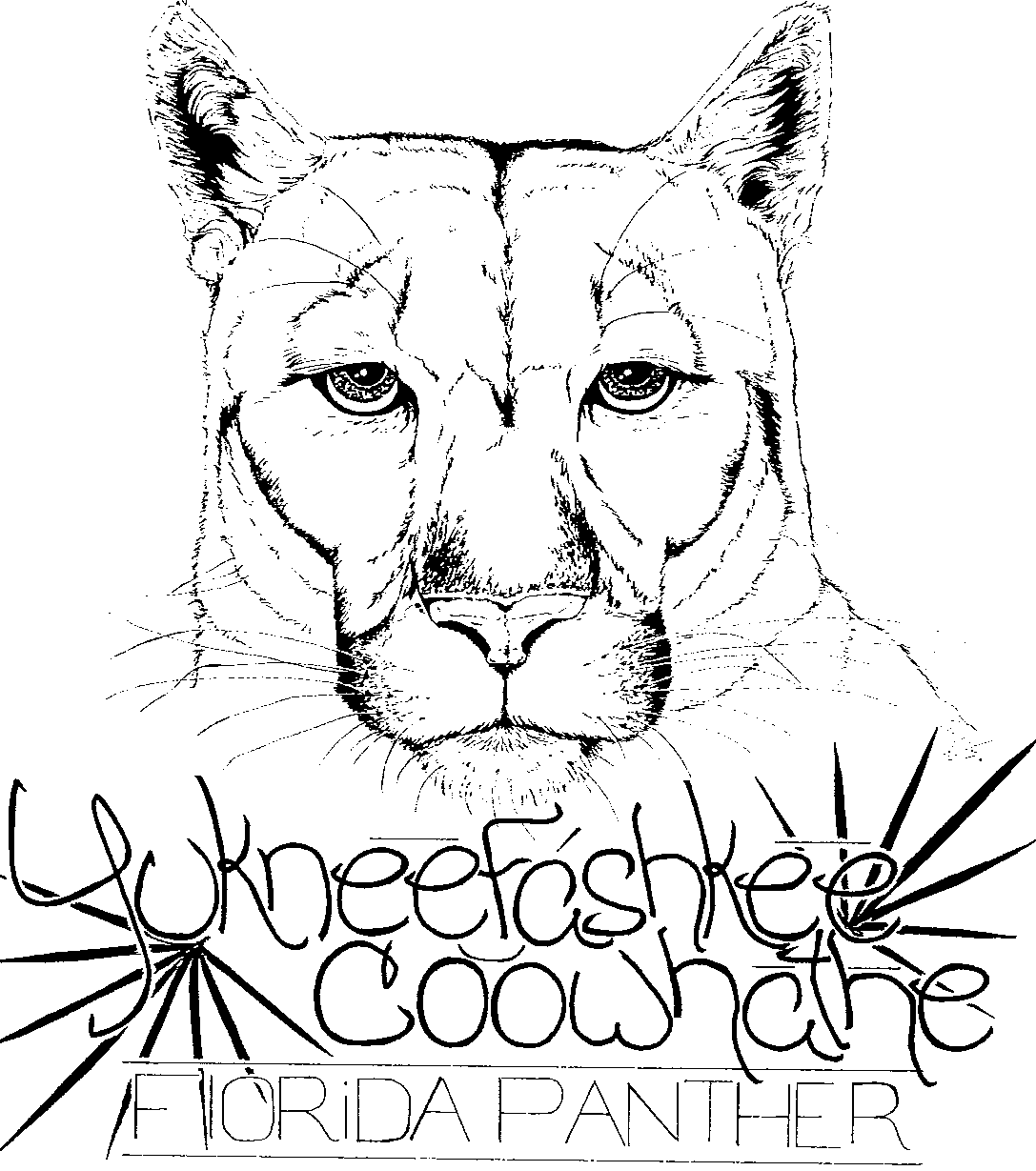 Florida Panthers Coloring Page Coloring Home