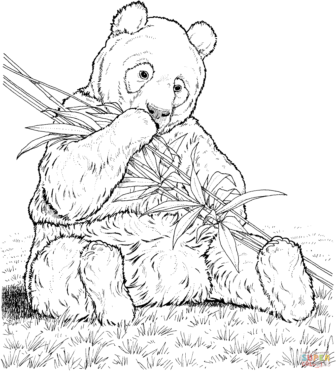 panda-coloring-pages-for-adults-coloring-home