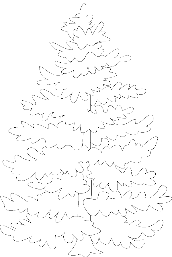 Coloring Pages Pine Tree Coloring Home