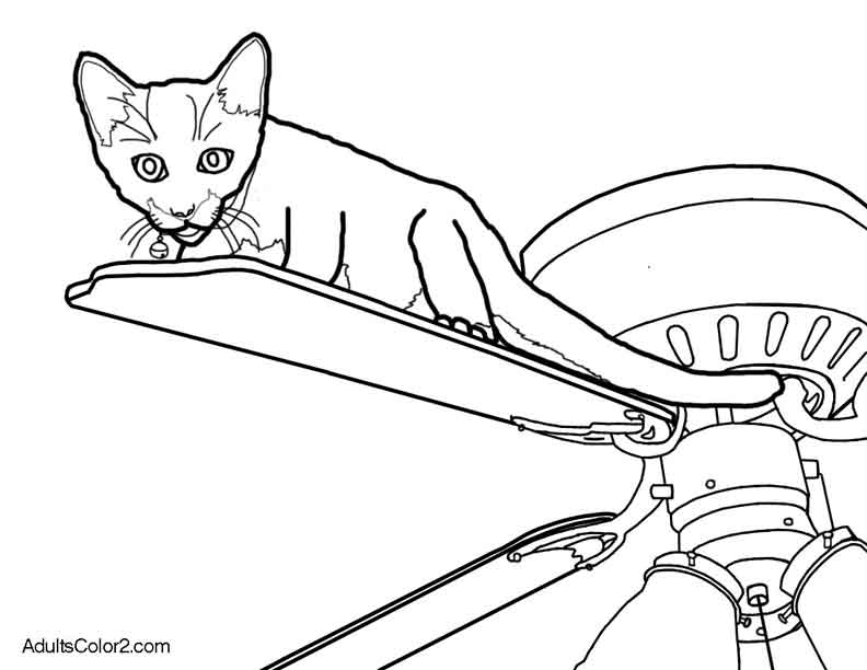 Cat Coloring Pages: Pint-Sized Pumas On Parade