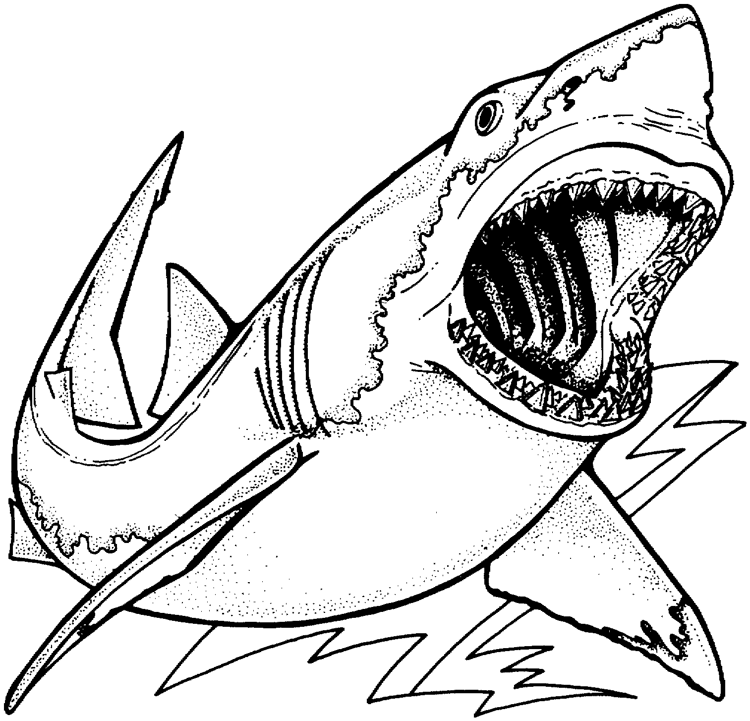 Realistic Shark Tattoo Coloring Pages Printable