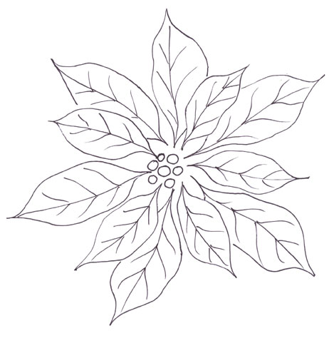 Poinsettia Outline Clipart
