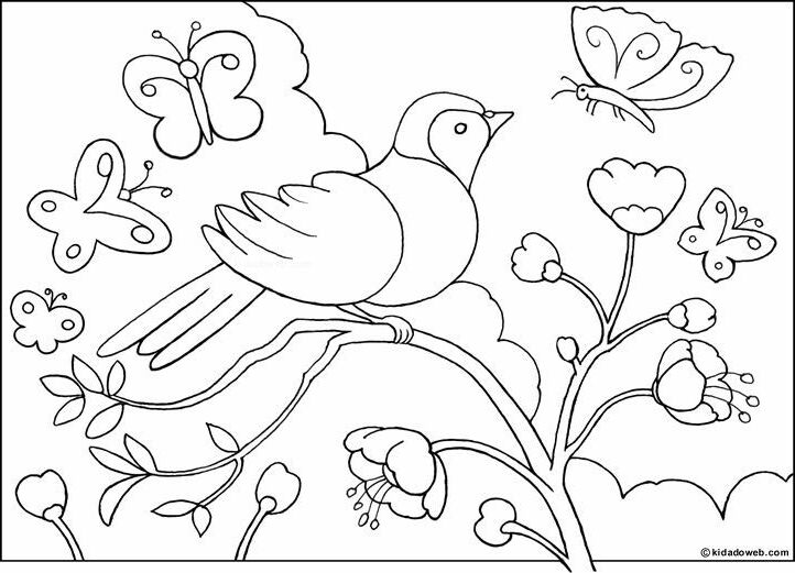 1000+ ideas about Bird Outline | Bird Template, Bird ...