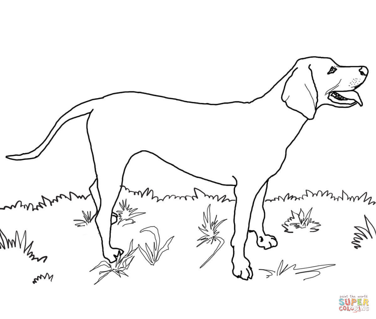 Great Dane coloring page | Free Printable Coloring Pages
