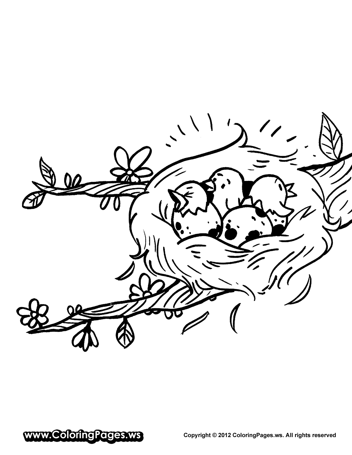 Nest Coloring Page - Coloring Home