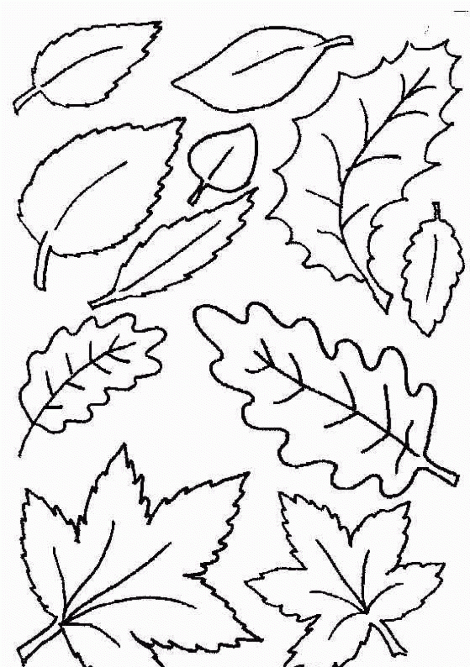 Simple Coloring Pages Leaves Coloring Pages Printable View ...