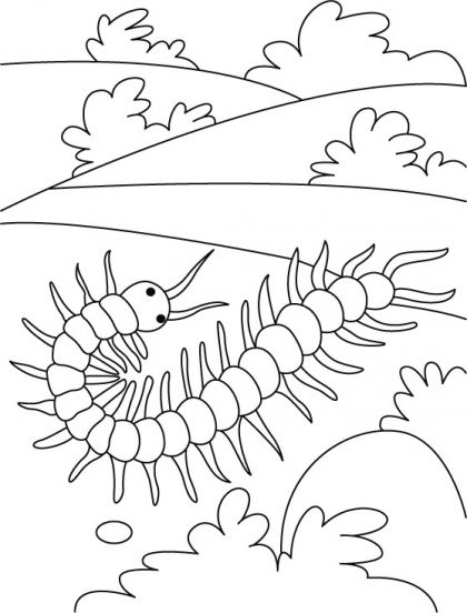 centipede on a field round coloring pages | Download Free centipede on a  field round coloring page… | Insect coloring pages, Coloring pages, Coloring  pages for kids