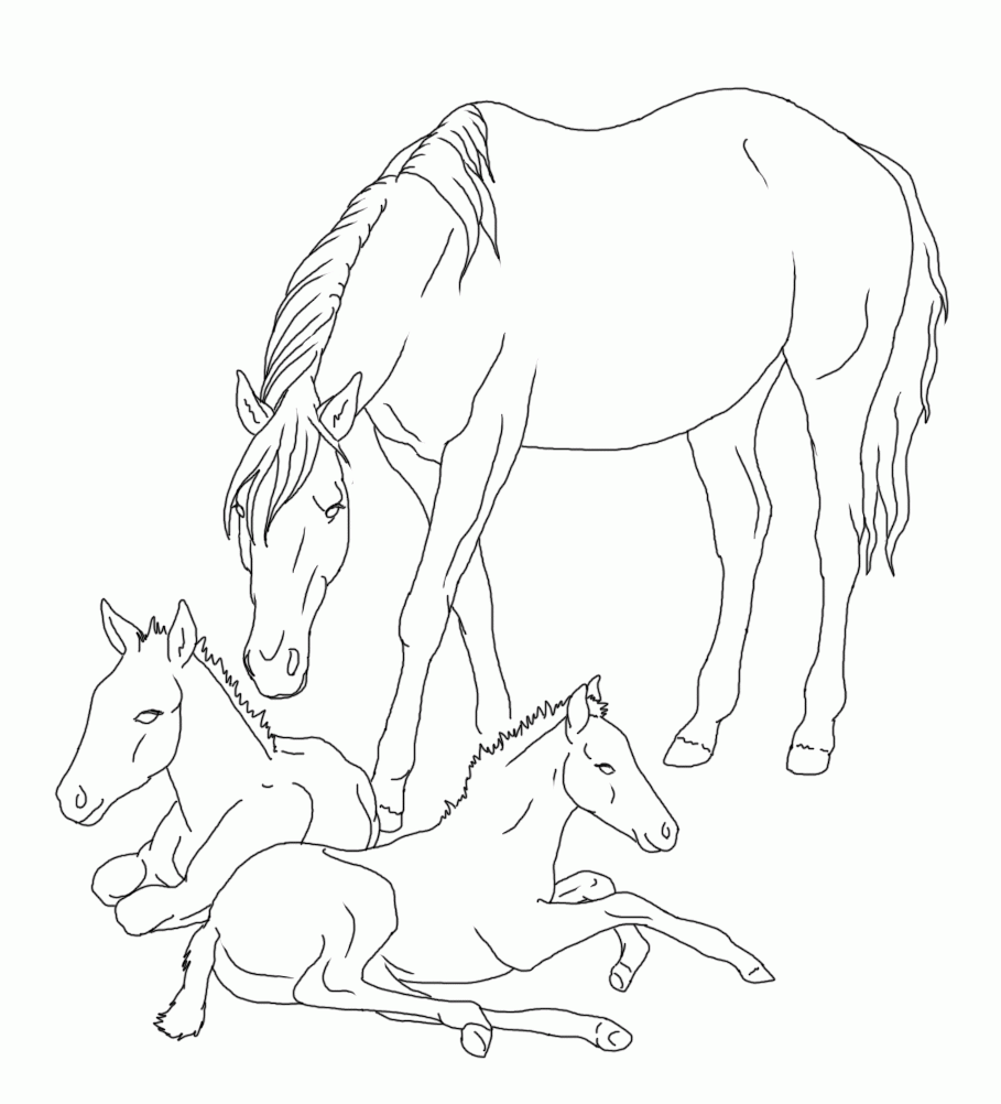 Horse And Foal Coloring Pages Realistic Sketch Coloring ...