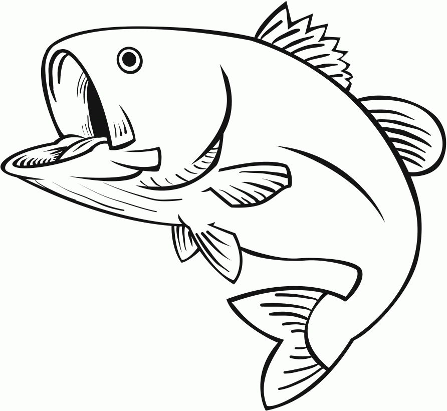 8 Pics Jumping Fish Coloring Pages Bass Drawings