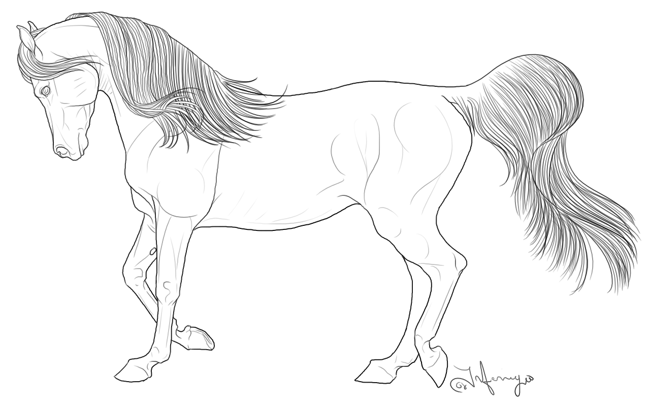 Realistic Horse Coloring Pages | Resume Format Download Pdf