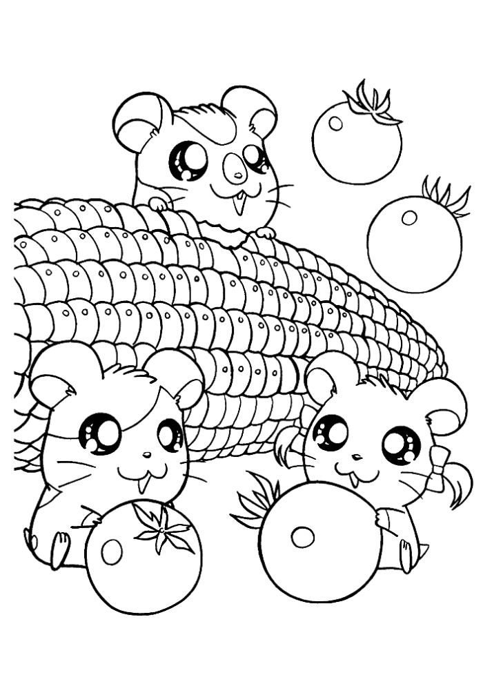 Hamtaro Coloring Pages Az Coloring Pages Hamster Coloring Pages ...