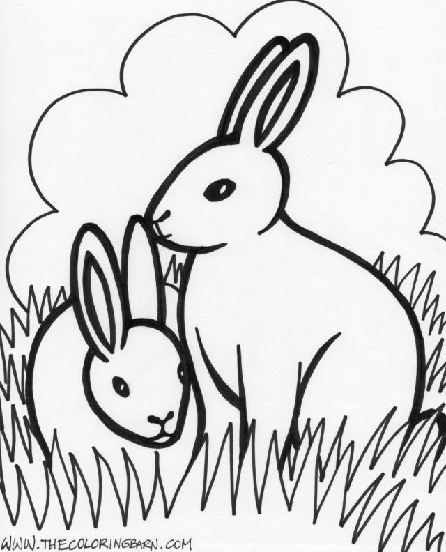 coloring page happy rabbits coloring page farm rooster coloring 