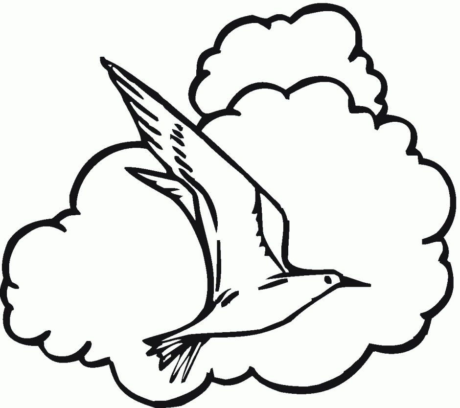 Printable Coloring Page Utah State Bird And Flower Seagull Id 