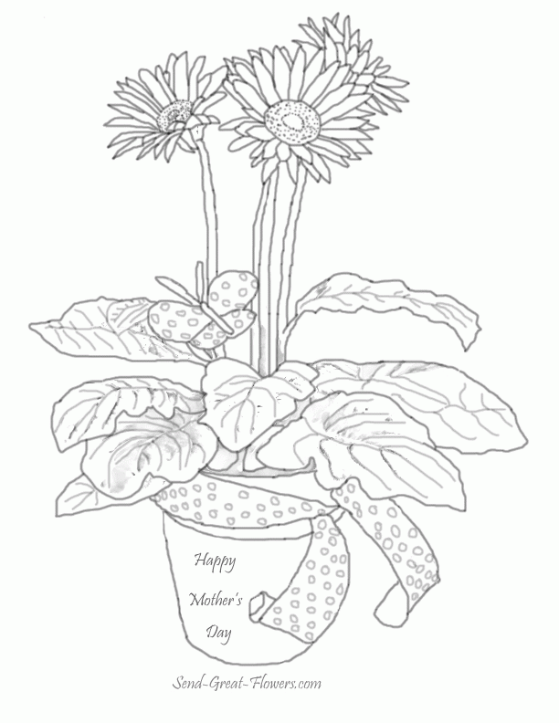 Daisy Flower Coloring Pages 37 | Free Printable Coloring Pages