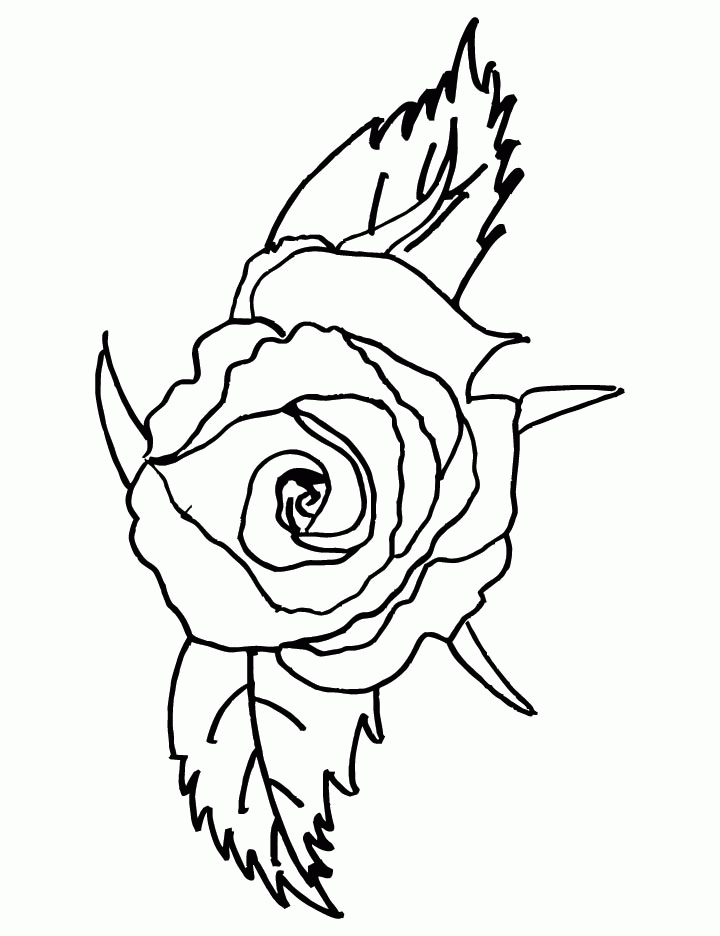 Rose Pictures To Color - Coloring Home