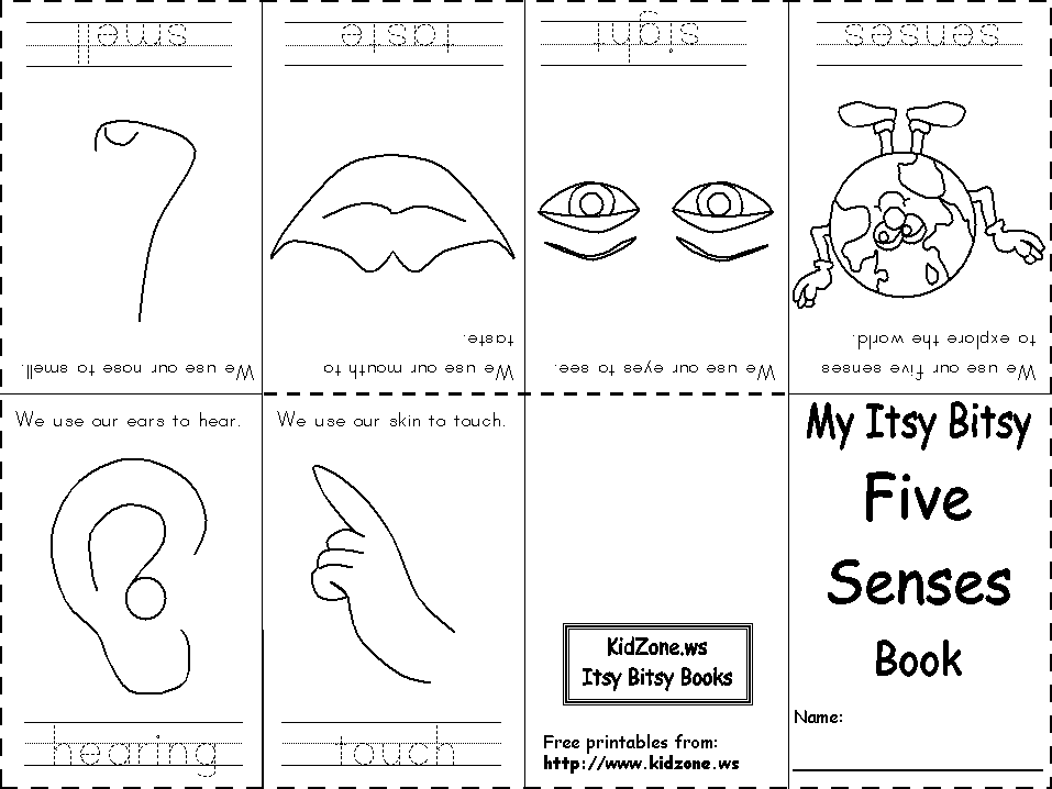My Five Senses Coloring Page
